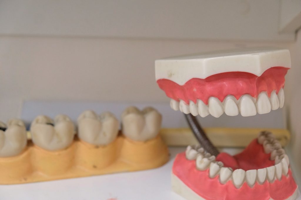 sets of teeth