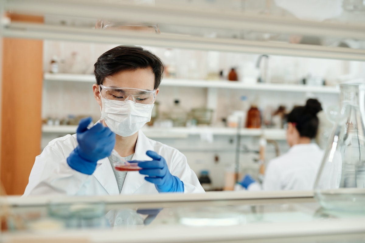 lab personnel checking the specimen