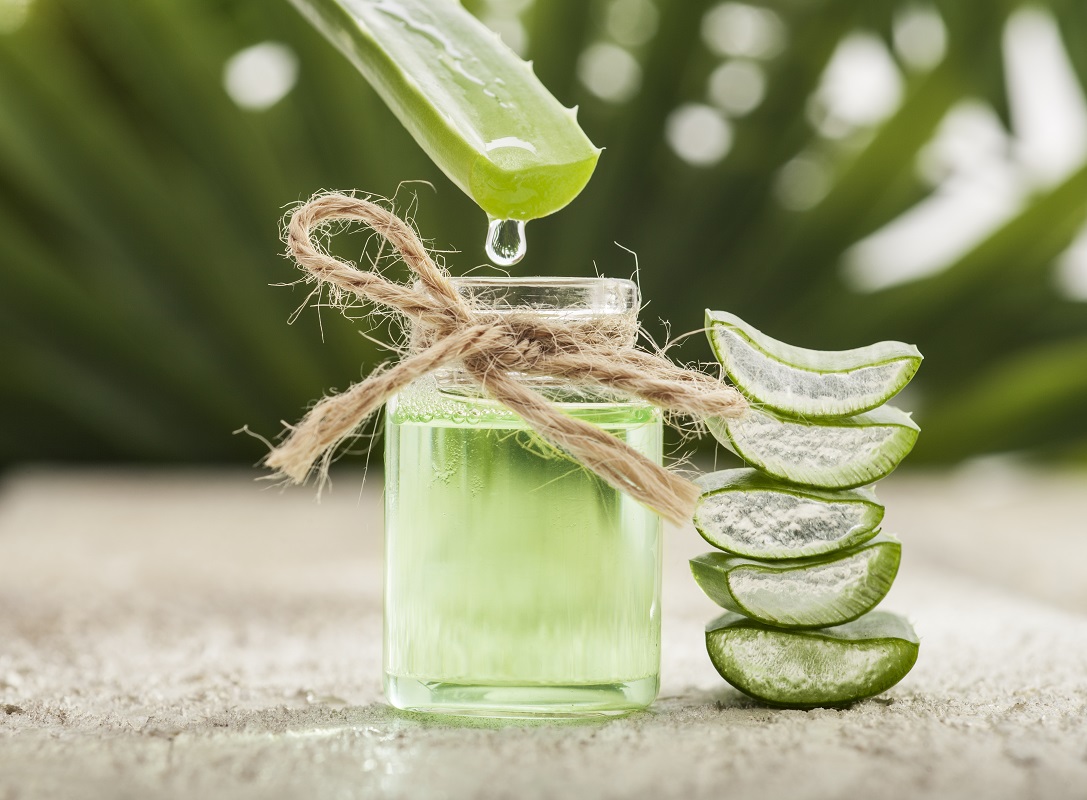 aloe vera gel on a bottle